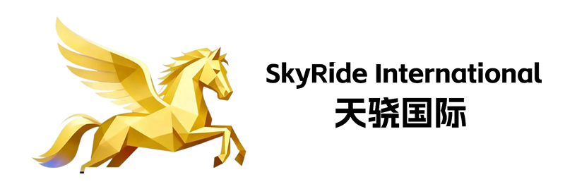 天骁国际物流